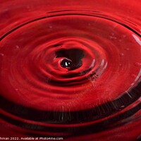 Buy canvas prints of Red background water drops (17B) by Philip Lehman