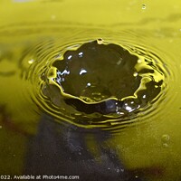 Buy canvas prints of Yellow Background Water Drops (12A) by Philip Lehman