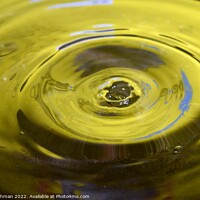 Buy canvas prints of Yellow Background Water Drops (3A) by Philip Lehman