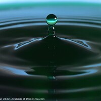 Buy canvas prints of Green Water drops (22A) by Philip Lehman