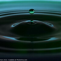 Buy canvas prints of Green Water drops (19A) by Philip Lehman