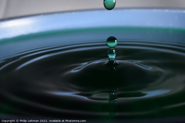 Green Water drops (24A) Picture Board by Philip Lehman
