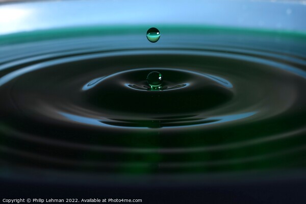 Green Water drops (23A) Picture Board by Philip Lehman