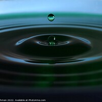 Buy canvas prints of Green Water drops (23A) by Philip Lehman