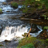 Buy canvas prints of Willow River Falls Aug 23rd (26A) by Philip Lehman