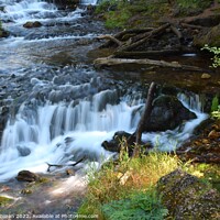 Buy canvas prints of Willow River Falls Aug 23rd (12A) by Philip Lehman