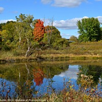 Buy canvas prints of BP Pond Reflections (18-55mm) (15C) by Philip Lehman