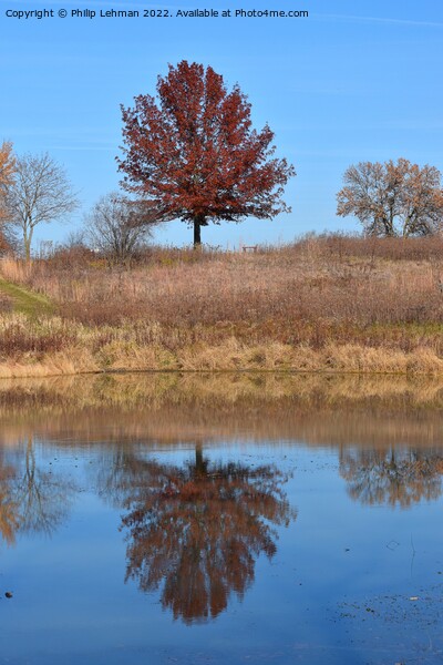 Fall Reflections 1 Picture Board by Philip Lehman