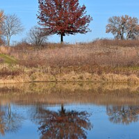 Buy canvas prints of Fall Reflections 1 by Philip Lehman