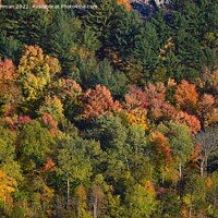 Buy canvas prints of Devil's Lake October 18th (97A) by Philip Lehman