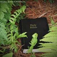 Buy canvas prints of Discovering God's Word in Nature (2A) by Philip Lehman