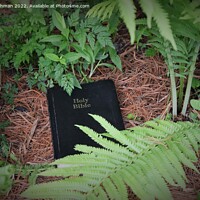 Buy canvas prints of Discovering God's Word in Nature (5A) by Philip Lehman