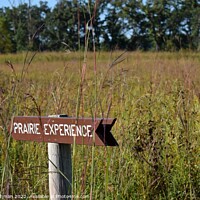 Buy canvas prints of Sign, Prairie Experience (3A) by Philip Lehman