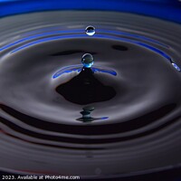 Buy canvas prints of Abstract Waterdrops 134A by Philip Lehman