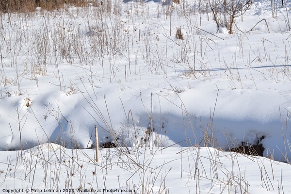 Snowy Landscape (6A) Picture Board by Philip Lehman