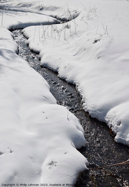 Snowy Landscape (15A) Picture Board by Philip Lehman