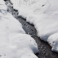 Buy canvas prints of Snowy Landscape (15A) by Philip Lehman