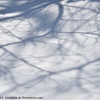 Buy canvas prints of Snowy Landscape (36A) by Philip Lehman