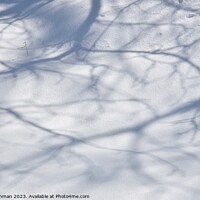 Buy canvas prints of Snowy Landscape (37A) by Philip Lehman