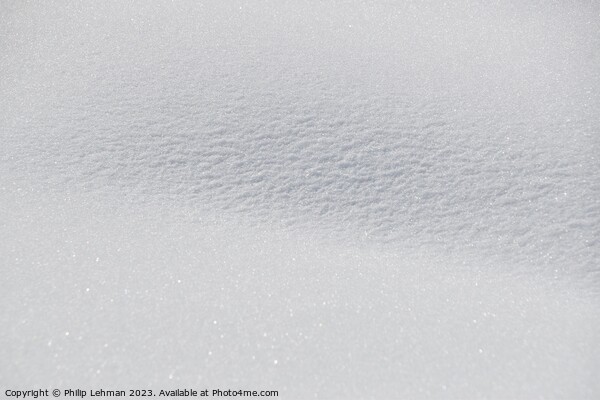 Snowy Landscape (54A) Picture Board by Philip Lehman