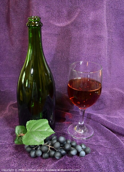 Wine Bottle 30A Picture Board by Philip Lehman