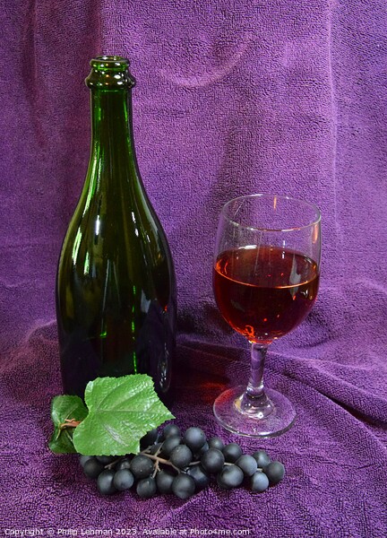 Wine Bottle 25A Picture Board by Philip Lehman