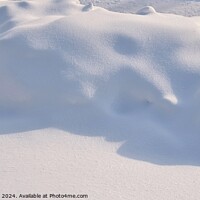 Buy canvas prints of Snow Drift 1A by Philip Lehman