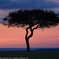 Buy canvas prints of Masai Mara sunset by Gillian Robertson
