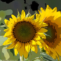 Buy canvas prints of Sunflower Portrait by Gillian Robertson