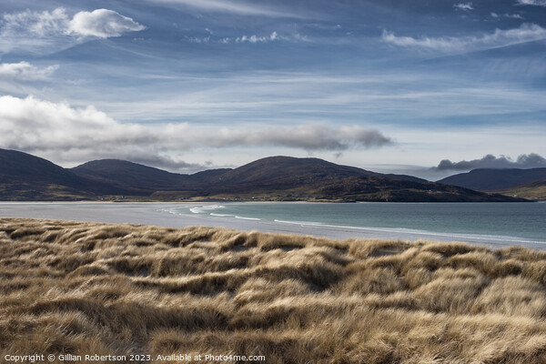 Scottish Landscape: Luskentyre Beach, Harris Picture Board by Gillian Robertson