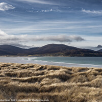Buy canvas prints of Scottish Landscape: Luskentyre Beach, Harris by Gillian Robertson