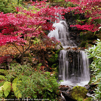 Buy canvas prints of Autumn waterfall in Johnston Gardens by Gillian Robertson
