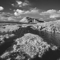 Buy canvas prints of Ceapabhal hill from across the Northton Salt Marsh by Guy Keen
