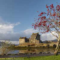 Buy canvas prints of Eilean Donan Castle by Guy Keen