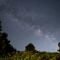 Buy canvas prints of Milky Way Rising Over A Hill by Eli Wilson