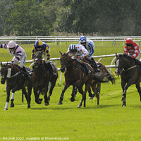 Buy canvas prints of Perth Races, Scotland, 2014 by Jonathan Mitchell