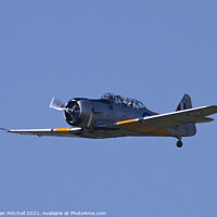 Buy canvas prints of North American Harvard in Flight by Jonathan Mitchell