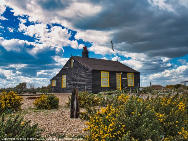 Prospect Cottage & Garden on Dungeness Beach Home of Derek Jarman Picture Board by Mike Hardy