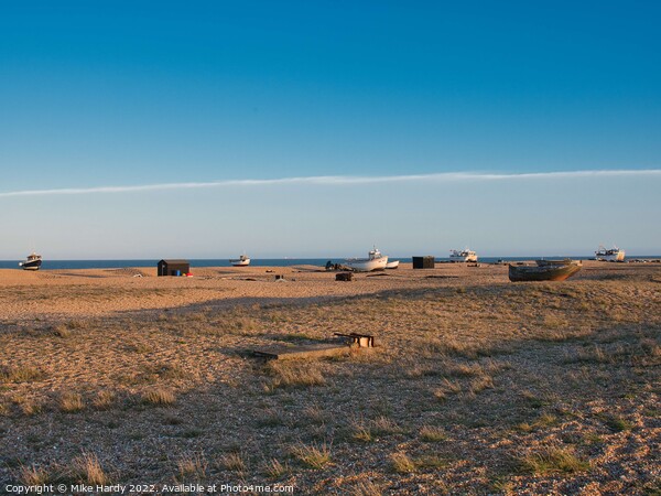 Wild plains of Dungeness Picture Board by Mike Hardy