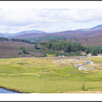 Buy canvas prints of The Blooming Heather Hills above Braemar, Scotland. by Keith Ringland
