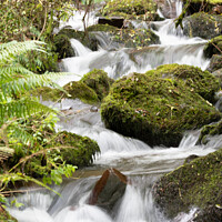 Buy canvas prints of Cascading water in woods by Martin Pople