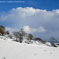 Buy canvas prints of Snow on the downs by Paul Daniell