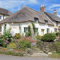 Buy canvas prints of Thatched cottage Dorset by Paul Daniell