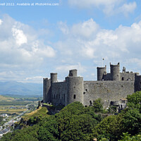 Buy canvas prints of Harlech Castle  by Paul Daniell
