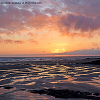 Buy canvas prints of Sunset at Bude by Paul Daniell