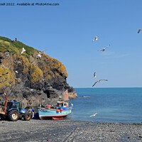 Buy canvas prints of Cadgwith fisherman returns by Paul Daniell