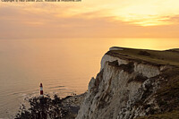 Click to show how this picture will look as a piece of wall art