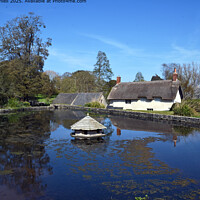 East Quantoxhead Pond Landscape