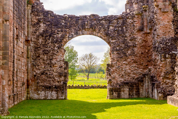 From Inside of Lilleshall Abbey, Lilleshall, Shrop Picture Board by Pamela Reynolds