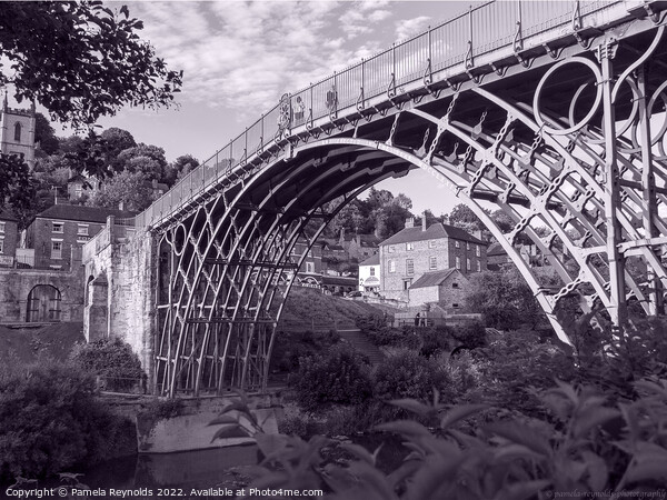 View of Ironbridge on a Sunny Day  in Mono Picture Board by Pamela Reynolds